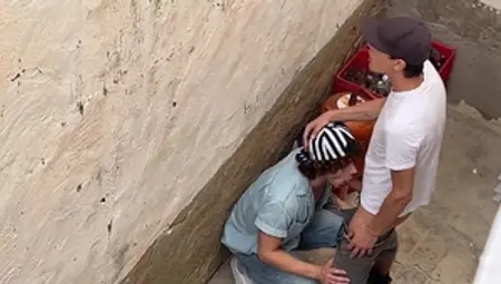 Backyard Secrets Revealed